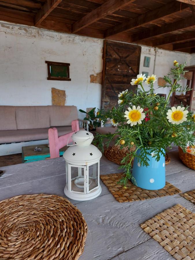 Casa Elsa Apartment ปูแอร์โต เดล โรซาริโอ ภายนอก รูปภาพ